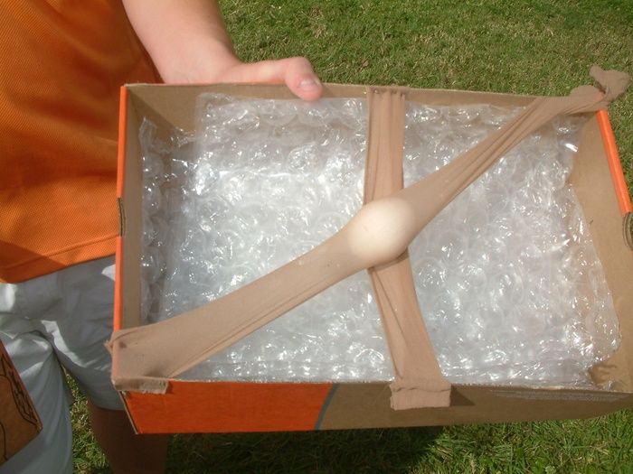 egg drop project ideas that work